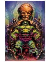 PHILLIP KENNEDY JOHNSON,PANINI,,977293847500700012,EL INCREIBLE HULK 12 (142)