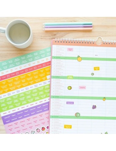 PLANNER 2024/2025 PUSHEEN 8435747801108 PLANNER 2024/2025 PUSHEEN 8435747801108