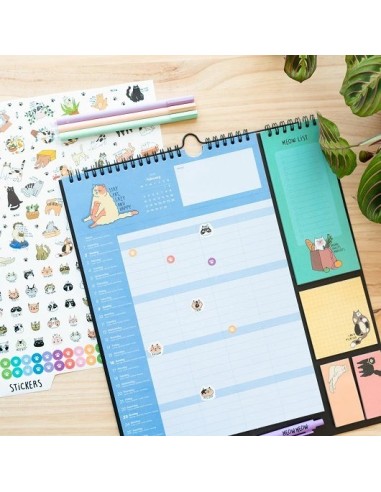 PLANNER 2024/2025 MEOW MEOW  8435747801160