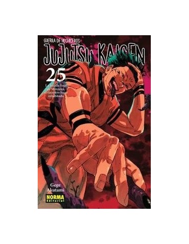 AKUTAMI  GEGE,NORMA,,9788467971743 ,JUJUTSU KAISEN 25 AKUTAMI  GEGE,NORMA,,9788467971743 ,JUJUTSU KAISEN 25