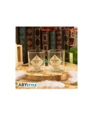 HARRY POTTER - Set de botella y vasos - Poción  3665361099840 HARRY POTTER - Set de botella y vasos - Poción  3665361099840