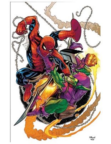 VARIOS AUTORES,PANINI,,977000533900900242,EL ASOMBROSO SPIDERMAN 33 VARIOS AUTORES,PANINI,,977000533900900242,EL ASOMBROSO SPIDERMAN 33
