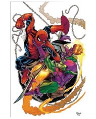 VARIOS AUTORES,PANINI,,977000533900900242,EL ASOMBROSO SPIDERMAN 33