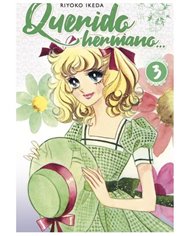 RIYOKO IKEDA,ARECHI,,9788410294301,FREDDIE MERCURY. SOMBRAS ILUMINADAS,