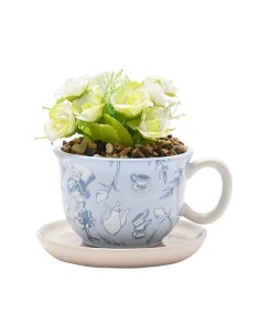 MACETERO FORMA TAZA ALICIA PAIS DE LAS MARAVILLAS CON PLANTA  5063322048513 MACETERO FORMA TAZA ALICIA PAIS DE LAS MARAVILLAS CON PLANTA  5063322048513