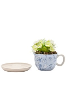 MACETERO FORMA TAZA ALICIA PAIS DE LAS MARAVILLAS CON PLANTA  5063322048513