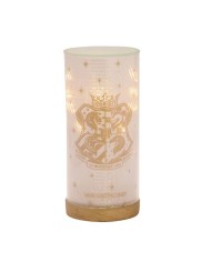 LAMPARA DE LUZ HARRY POTTER HECHIZO LUMOS 5017224998995