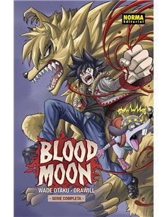 WADE OTAKU/GUILLEM CASASOLA,NORMA,,9788467973891,FRIEREN 13,