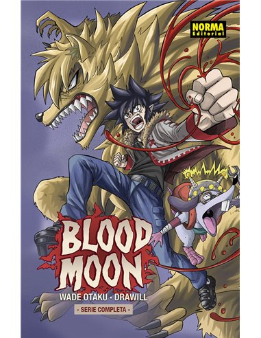 WADE OTAKU/GUILLEM CASASOLA,NORMA,,9788467973891,FRIEREN 13,