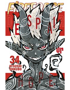 OHKUBO ATSUSHI,NORMA,,9788467971255,FOUR KNIGHTS OF THE APOCALYPSE 11,