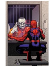 VARIOS AUTORES,PANINI ,,977000533900900245,ULTIMATE SPIDERMAN 10,