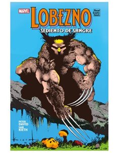 VARIOS AUTORES,PANINI ,,9788410497054,BLEACH BESTSELLER 24, VARIOS AUTORES,PANINI ,,9788410497054,BLEACH BESTSELLER 24,