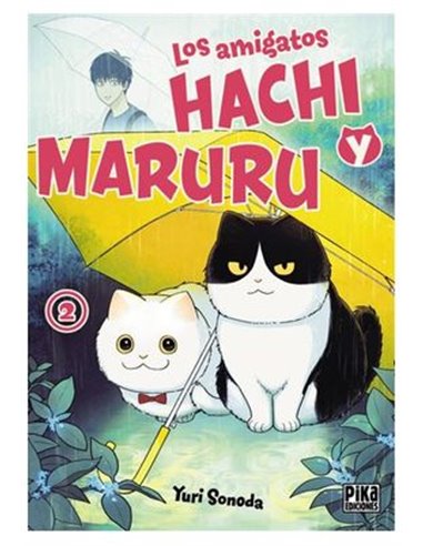 YURI SONODA,PIKA EDICIONES,,9782811699222,DOLMEN 359,