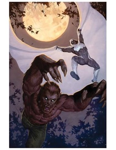 SERGIO DAVILA,PANINI,,977293899200900002,MARVEL MUST HAVE. CAPITAN AMERICA: EL ASCENSO DE HYDRA, SERGIO DAVILA,PANINI,,977293899200900002,MARVEL MUST HAVE. CAPITAN AMERICA: EL ASCENSO DE HYDRA,