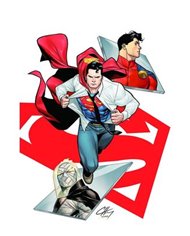 MARK WAID,PANINI,,977308128800100001,DC PREMIERE 1. AMANECER DE DC. NIGHTWING 01. SALTO HACIA LA LUZ, MARK WAID,PANINI,,977308128800100001,DC PREMIERE 1. AMANECER DE DC. NIGHTWING 01. SALTO HACIA LA LUZ,