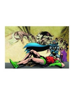 DENNY O'NEIL,PANINI,,9788410519633,, DENNY O'NEIL,PANINI,,9788410519633,,