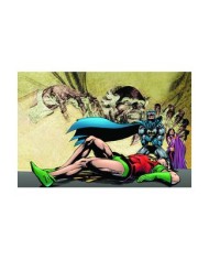 DENNY O'NEIL,PANINI,,9788410519633,,