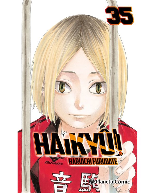 FURUDATE  HARUICHI,PLANETA COMIC,,9788411613347,BOLA DE DRAC SUPER 22,