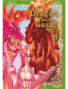 DRAGON BUSCA CASA 9