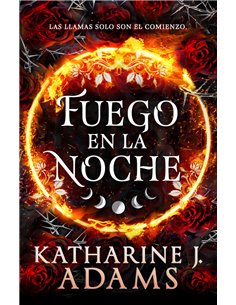 FUEGO EN LA NOCHE