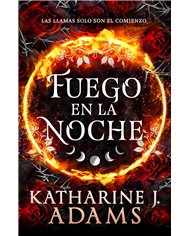 FUEGO EN LA NOCHE