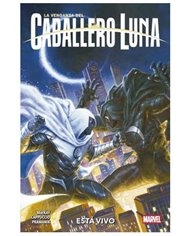 VARIOS AUTORES,PANINI,,9788410517417,MARVEL EN LOS AÑOS 10. LEYENDAS Y LEGADO (NUEVO PVP),