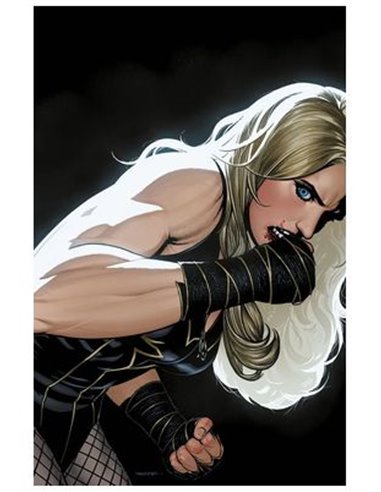 RYAN SOOK,PANINI,,977308133000700001,ALL IN JUSTICE LEAGUE UNLIMITED 01, RYAN SOOK,PANINI,,977308133000700001,ALL IN JUSTICE LEAGUE UNLIMITED 01,