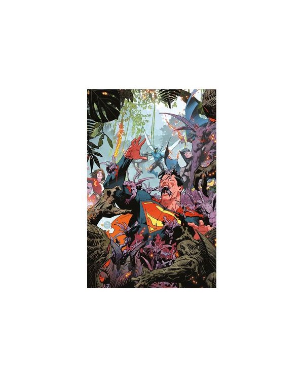 DAN MORA,PANINI,,977308132900100002,LOS VENGADORES 22 (176),