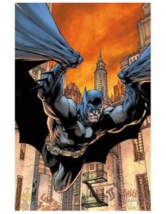JEPH LOEB,PANINI ,,9791370131647,ALL IN BATMAN Y ROBIN 01, JEPH LOEB,PANINI ,,9791370131647,ALL IN BATMAN Y ROBIN 01,