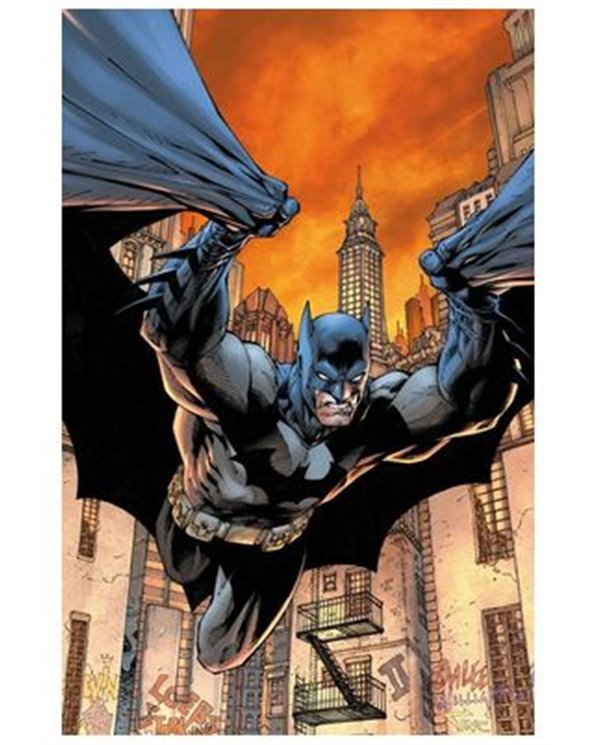 JEPH LOEB,PANINI ,,9791370131647,ALL IN BATMAN Y ROBIN 01,
