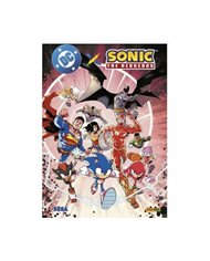 IAN FLYNN,PANINI,,9791370131036,DC YOUNG ADULTS. HIEDRA VENENOSA: ESPINAS,