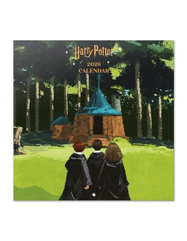 CALENDARIO 2026 30X30 HARRY POTTER