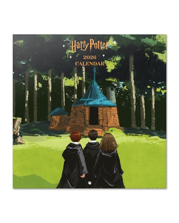 CALENDARIO 2026 30X30 HARRY POTTER
