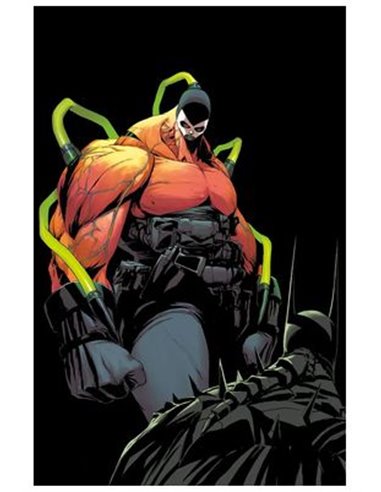 SCOTT SNYDER,PANINI,,977308128600700009,ABSOLUTE WONDER WOMAN 09, SCOTT SNYDER,PANINI,,977308128600700009,ABSOLUTE WONDER WOMAN 09,