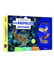 ,EDITORIAL AUZOU,,9791039558280,HOMEBODY,