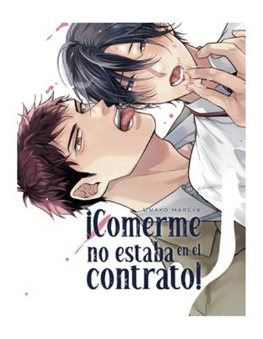 ARECHI,,9791387822903,NINA DEL REINO DE LAS ESTRELLAS 12,