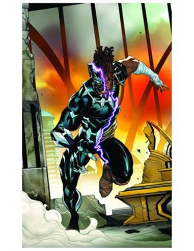 PANINI MARVEL EXCLUSIVA,,977293865300900007,BIBLIOTECA MARVEL 113. DAREDEVIL 9,