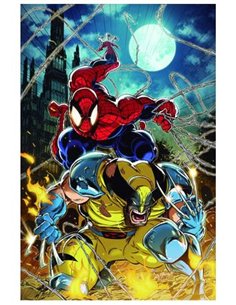 PANINI MARVEL EXCLUSIVA,,9791370134211,LA ESPADA SALVAJE DE CONAN 09 (RUSTICA),