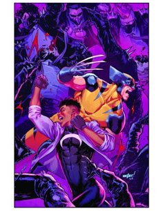 PANINI MARVEL EXCLUSIVA,,977301664800900014,LOS 4 FANTASTICOS ( PORTADA ALTERNATIVA DISNEY FANTASTIC FOUR 51) 51,