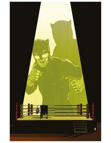 PANINI DC,,977308139000100003,BATMAN Y ROBIN AÑO UNO 10,