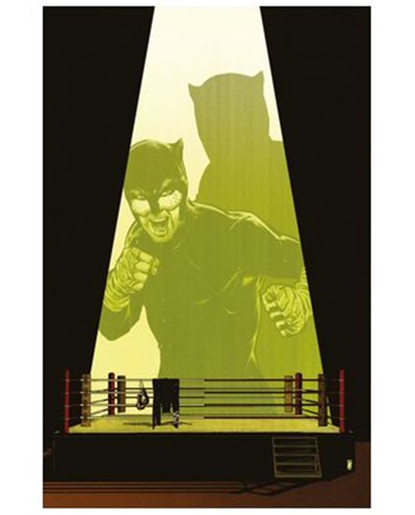 PANINI DC,,977308139000100003,BATMAN Y ROBIN AÑO UNO 10,