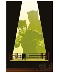 PANINI DC,,977308139000100003,BATMAN Y ROBIN AÑO UNO 10,