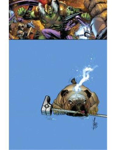 PANINI,,9791370135041,LA ERA DE REVELACION: ASOMBROSA PATRULLA-X 01,