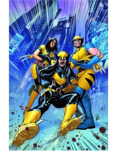 PANINI,,9791370135102,MARVEL PREMIERE. EL INCREÍBLE HULK DE PHILIP KENNEDY JOHNSON 01,