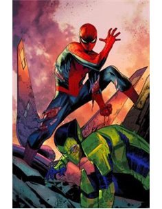 PANINI,,977293860900600022,LOS VENGADORES 30 (184),