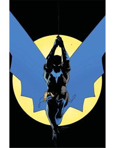 PANINI,,PDCSALLI001,ALL IN BATMAN 01 (PORTADA  ALTERNATIVA 01),