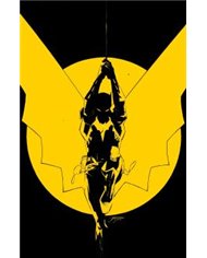 PANINI,,9791370136017,ALL IN BATMAN 01 (PORTADA  ALTERNATIVA 02),