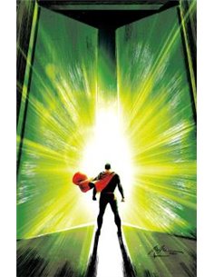 PANINI,,977308176700100004,BATMAN Y ROBIN AÑO UNO 11,