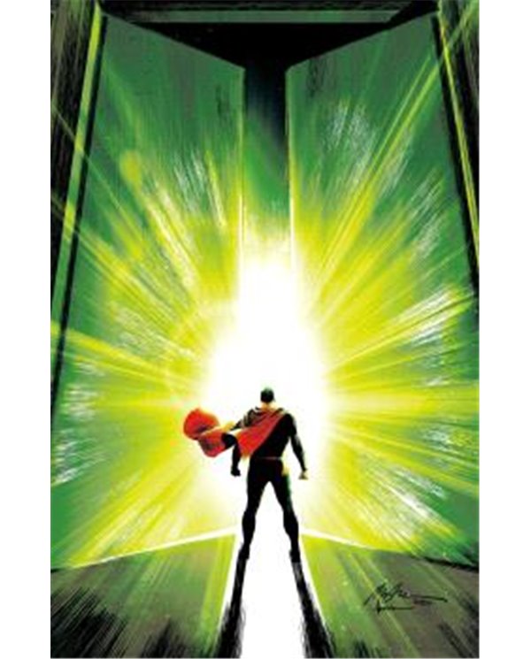 PANINI,,977308176700100004,BATMAN Y ROBIN AÑO UNO 11,