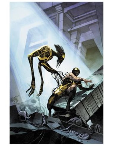 PANINI,,977301409400600005,THE ULTIMATES 06,